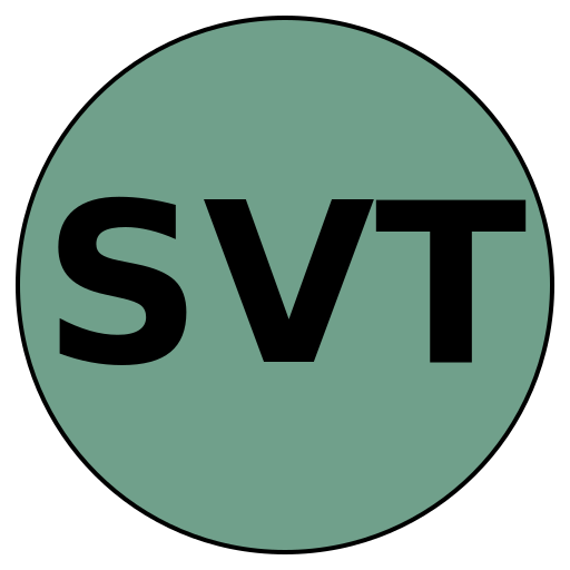 SuccessVision Travel